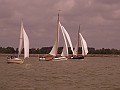 Lemsterbokking08 (101)